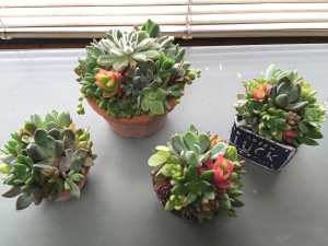 4種